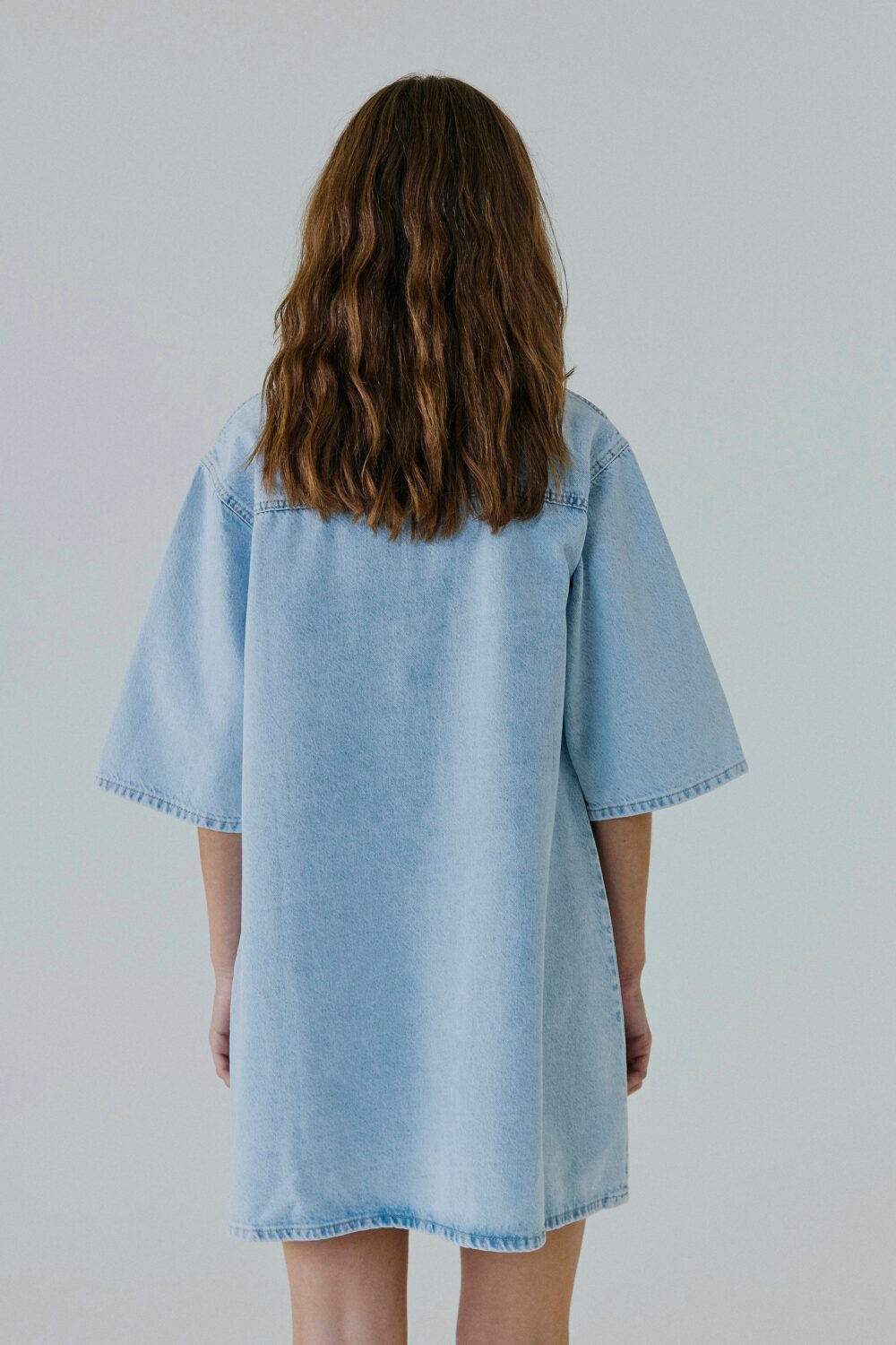 Hannali denim dress