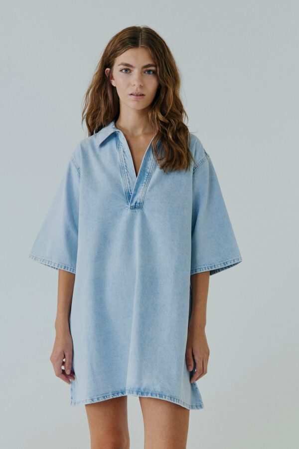 Hannali denim dress